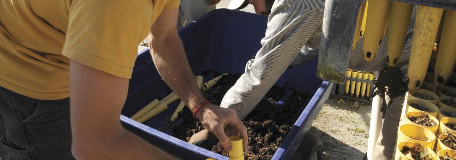 Students taking soil samples